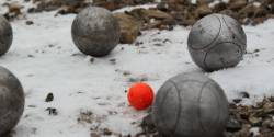 winterlinge, eisboule