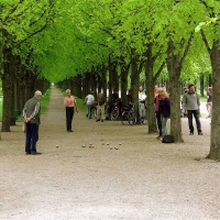 02_allez-allee_bild2