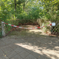 IMG20250912161721