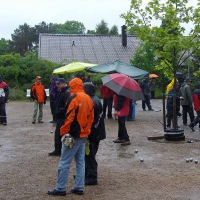 bissendorf04