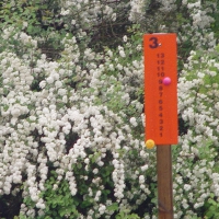 dsc00708