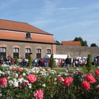 01-die-orangerie-im-historischen-schlosspark-philippsruhe