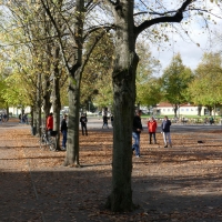 P1030056