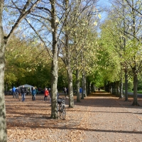P1030084