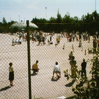 p028-019