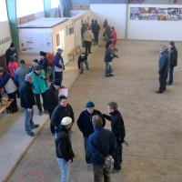 Krähenwinkel 2010 Hallencup Hallencup_krahenwinkel