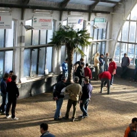 55-seit-1998-wird-im-palmenhaus-gespielt-es-steht-unter-denkmalschutz