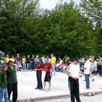 81