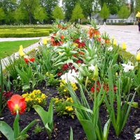 02-im-park-bluhten-die-fruhlingsblumen