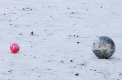 Winterboule